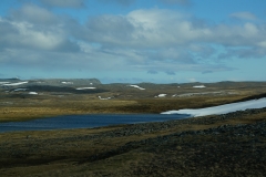 DSC09443