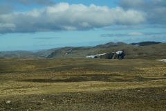 DSC09445