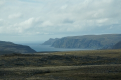 DSC09446