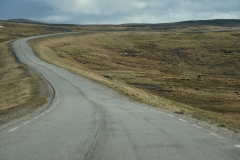 DSC09449