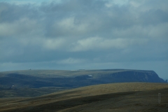 DSC09450