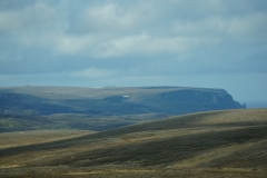 DSC09452