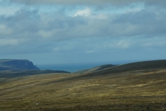 DSC09454