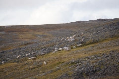 DSC09462