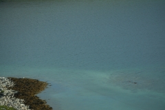 DSC09478