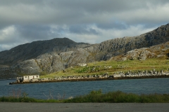 DSC09490