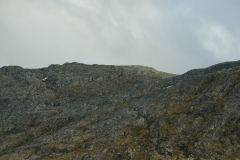 DSC09493