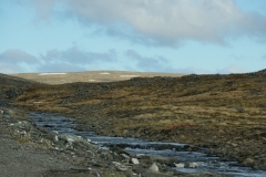 DSC09504
