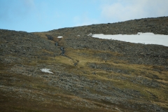 DSC09505