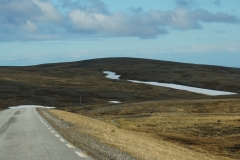 DSC09514