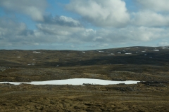 DSC09515