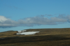 DSC09516