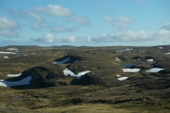 DSC09519