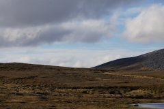DSC09522