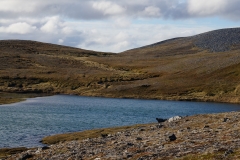 DSC09537