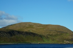 DSC09541