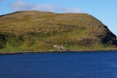 DSC09544