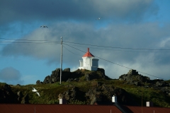 DSC09555
